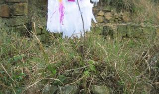 扫墓的小白花怎么折 扫墓的小白花怎么折